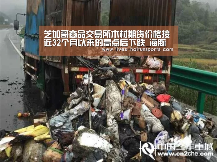 海豚直播体育