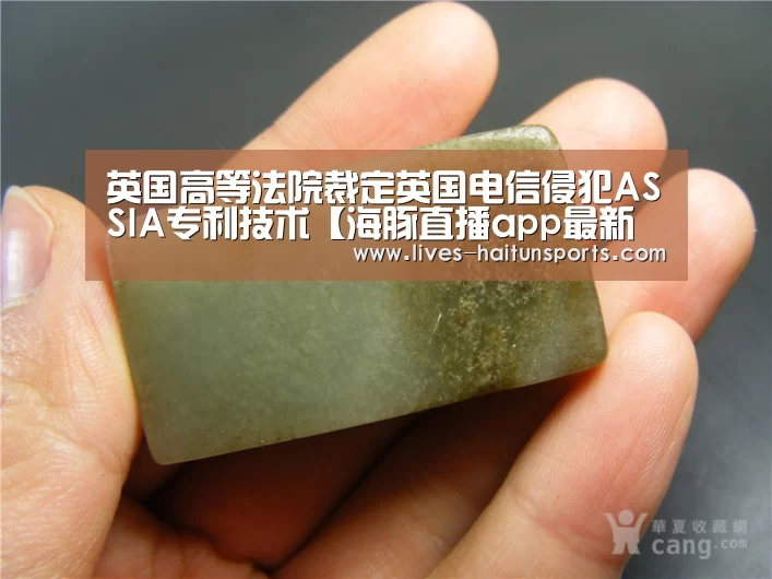 海豚直播体育