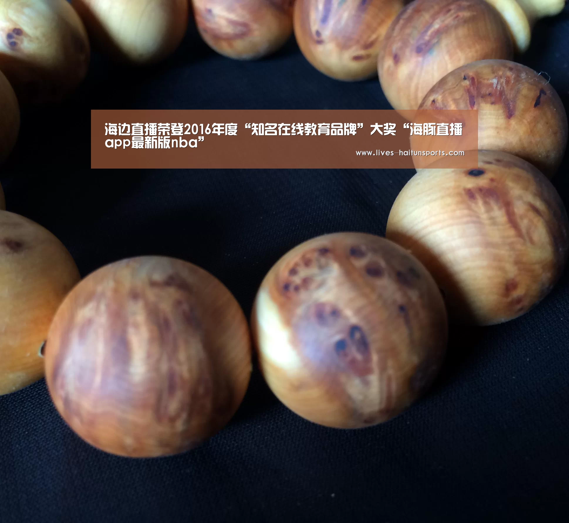 海豚直播体育